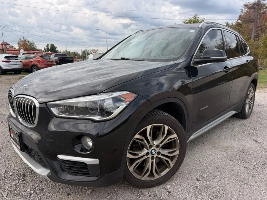 BMW X1 2017 photo 2