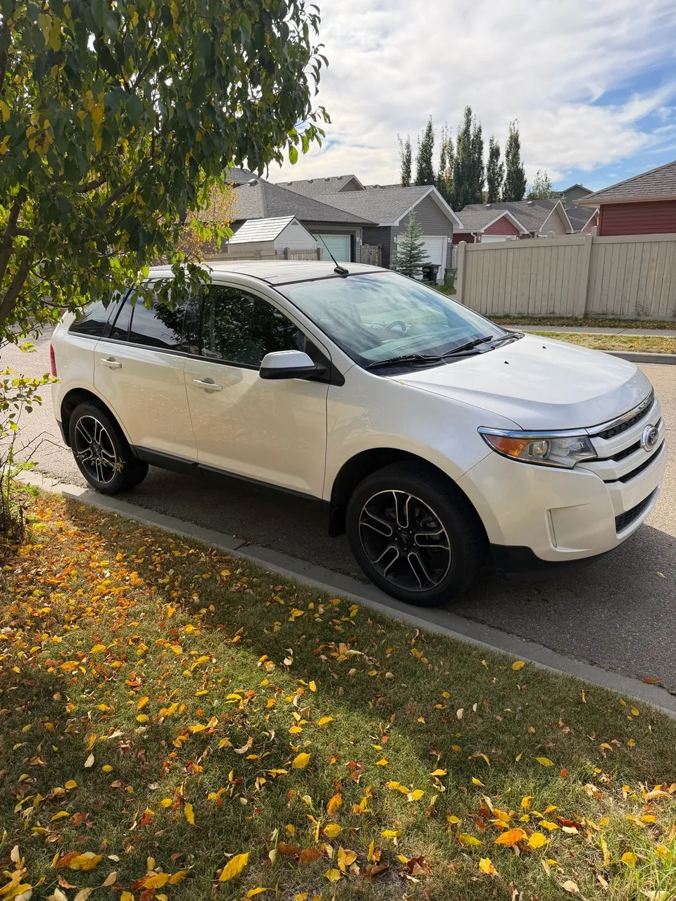 Ford Edge 2013 photo 3