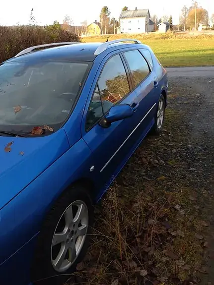 Peugeot 407 2007 photo 3