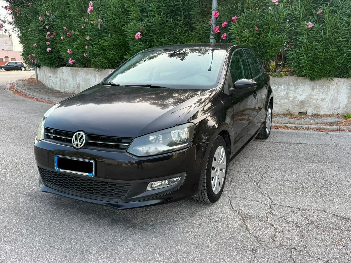 Volkswagen Polo 2012 photo 2