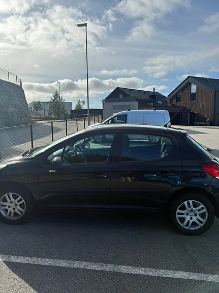Peugeot 207 2011 photo 5