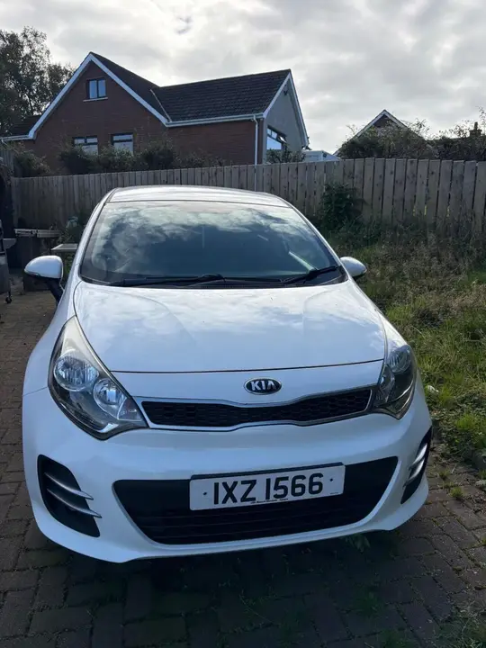 Kia Rio 2015 photo 2