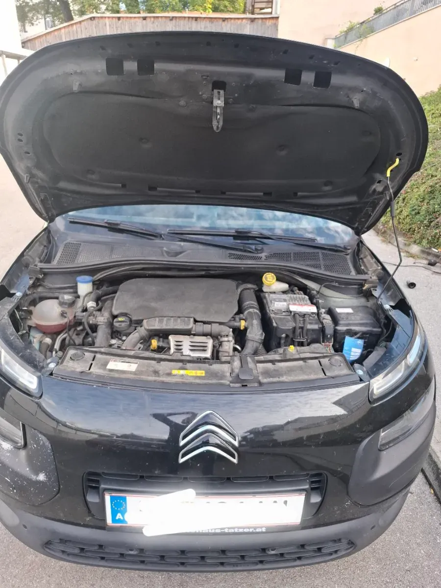 Citroen C4 Cactus 2015 photo 2