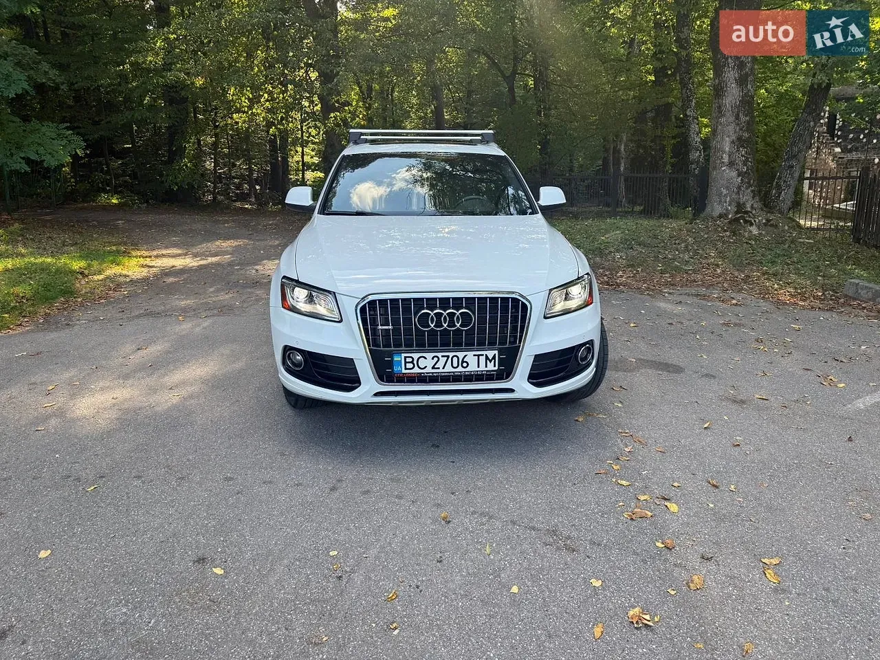 Audi Q5 2013 photo 3