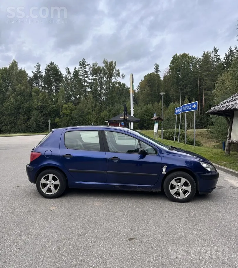 Peugeot 307 2004 photo 3