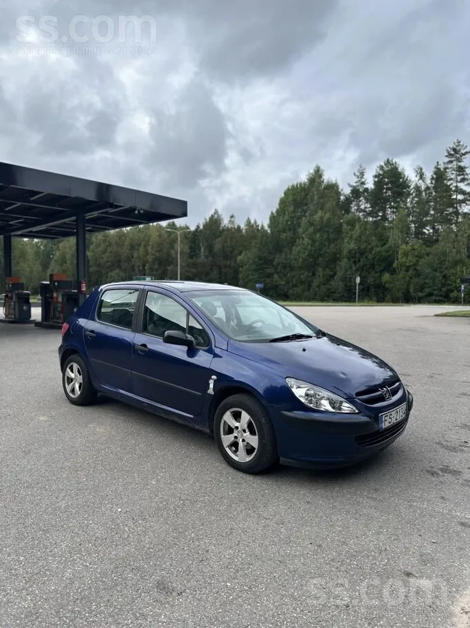 Peugeot 307 2004 photo 2