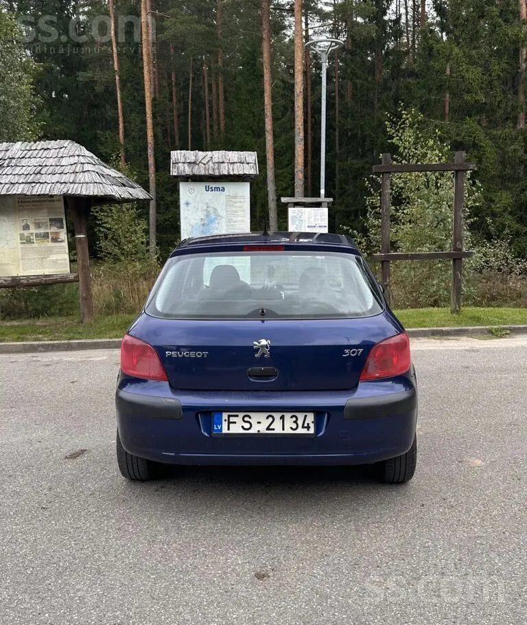 Peugeot 307 2004 photo 4