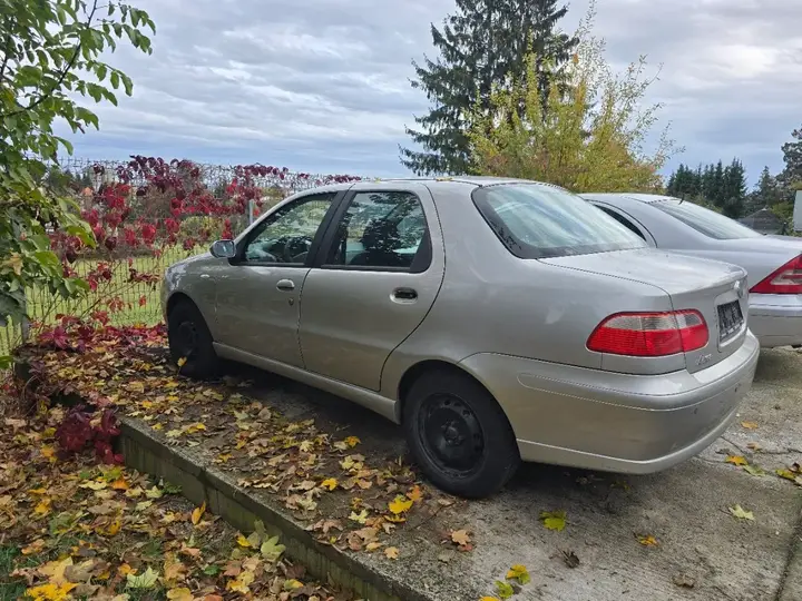 Fiat Sonstige