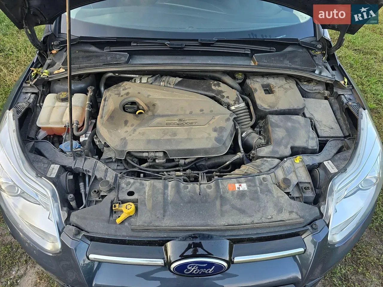 Ford Focus 2014 photo 4