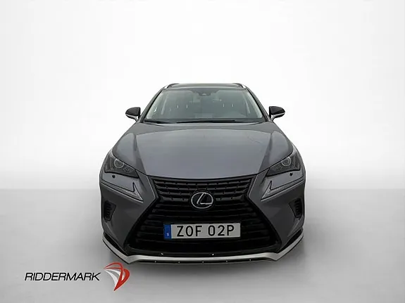 Lexus Nx300H 2021 photo 2