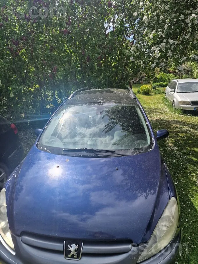Peugeot 307 2004 photo 4