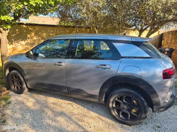 Citroen C4 Cactus 2018 photo 2
