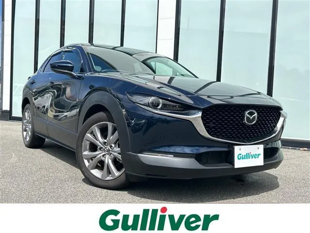 Mitsubishi Cx-30