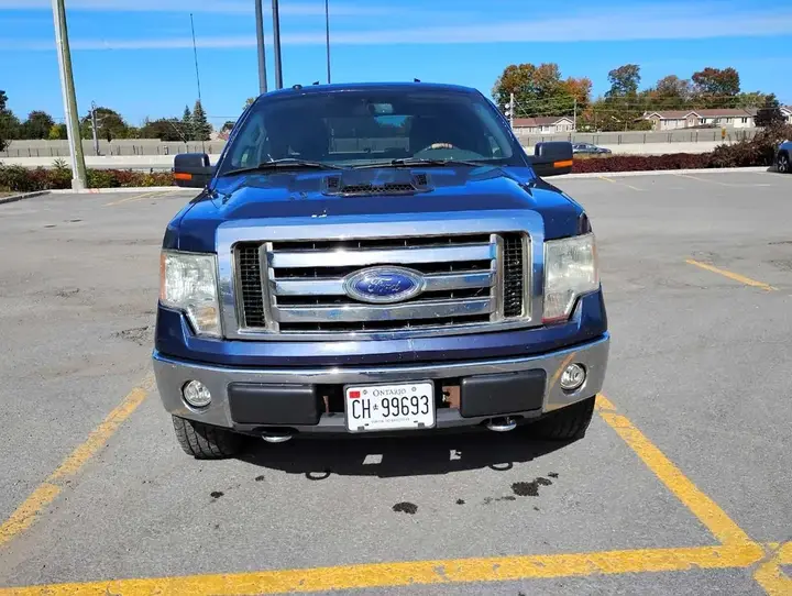 Ford F-150 2009 photo 2