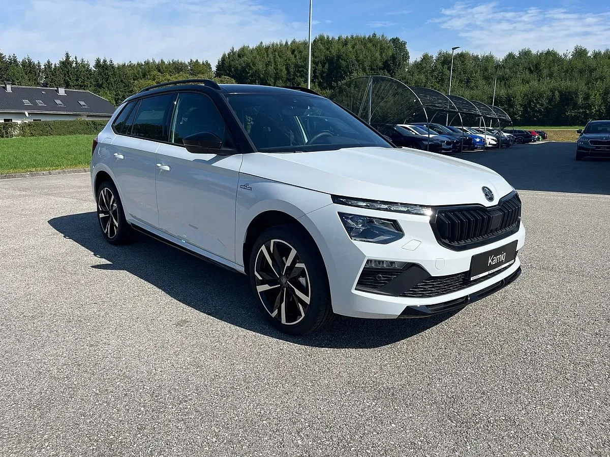 Skoda Kamiq 2025 photo 3