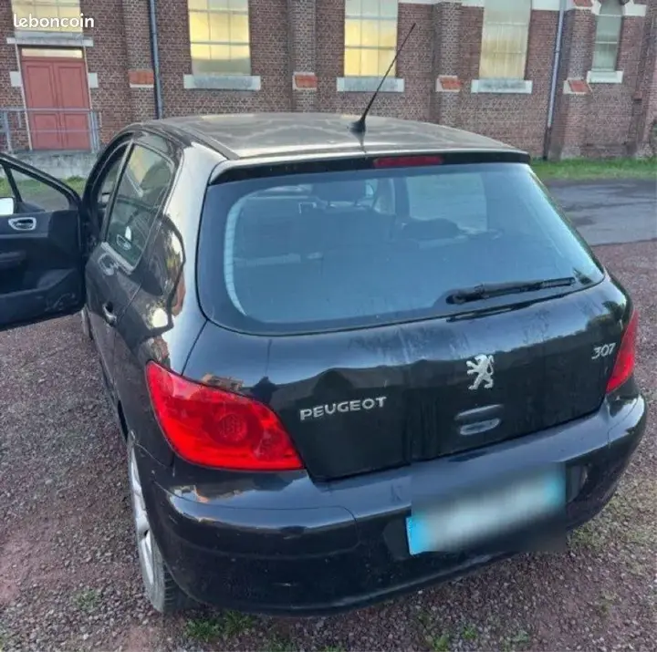 Peugeot 307 2007 photo 3