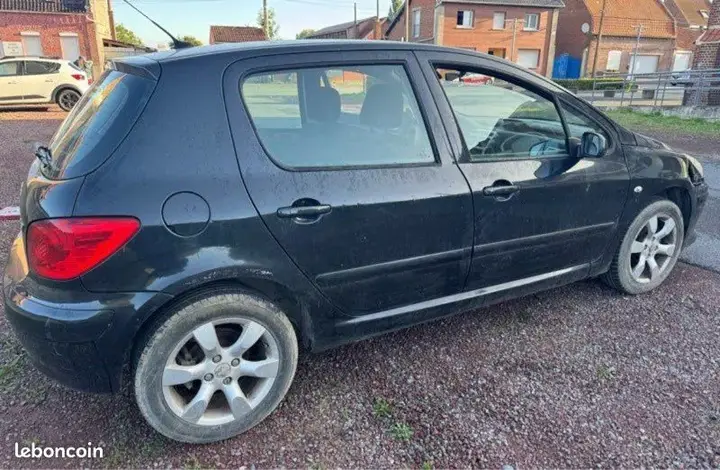 Peugeot 307 2007 photo 2