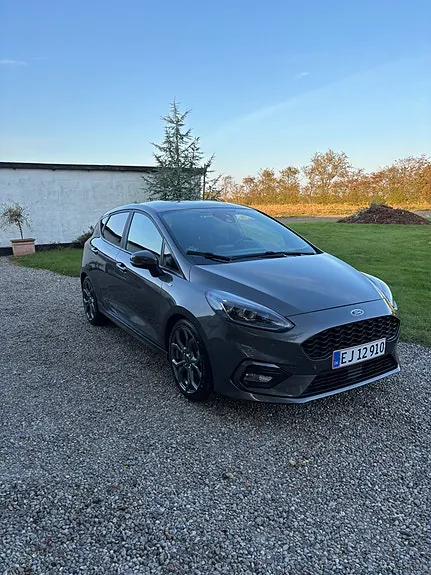 Ford Fiesta 2021 photo 3