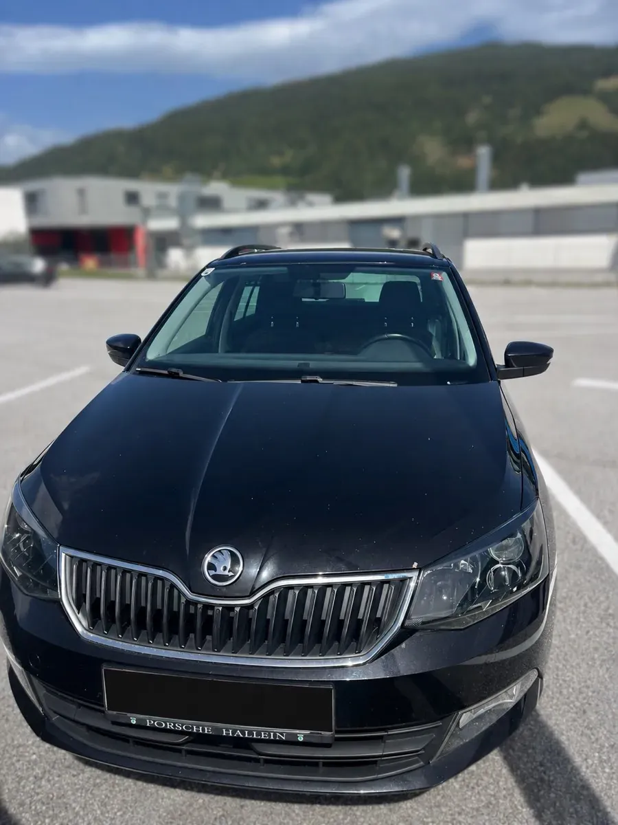 Skoda Fabia 2016 photo 2