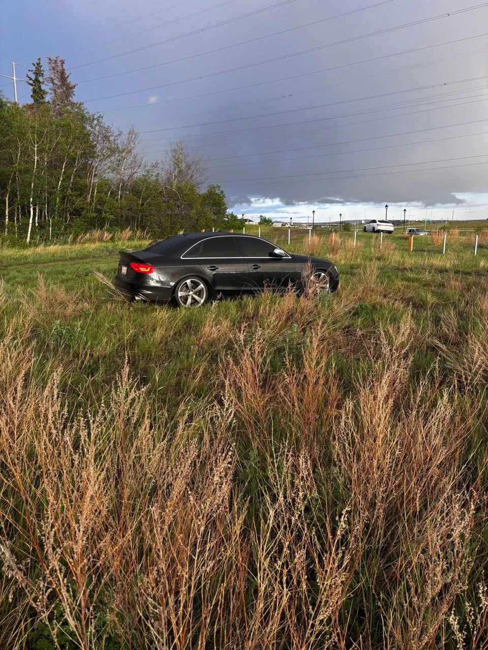 Audi S4 2014 photo 5