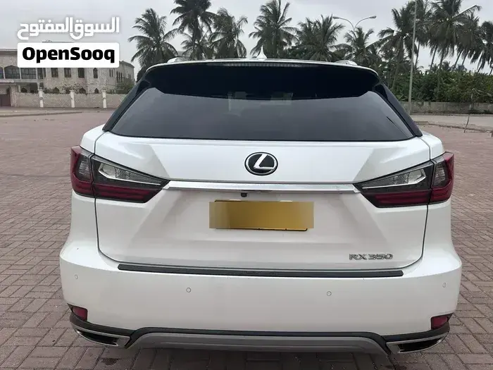 Lexus Rx 350 2020 photo 3
