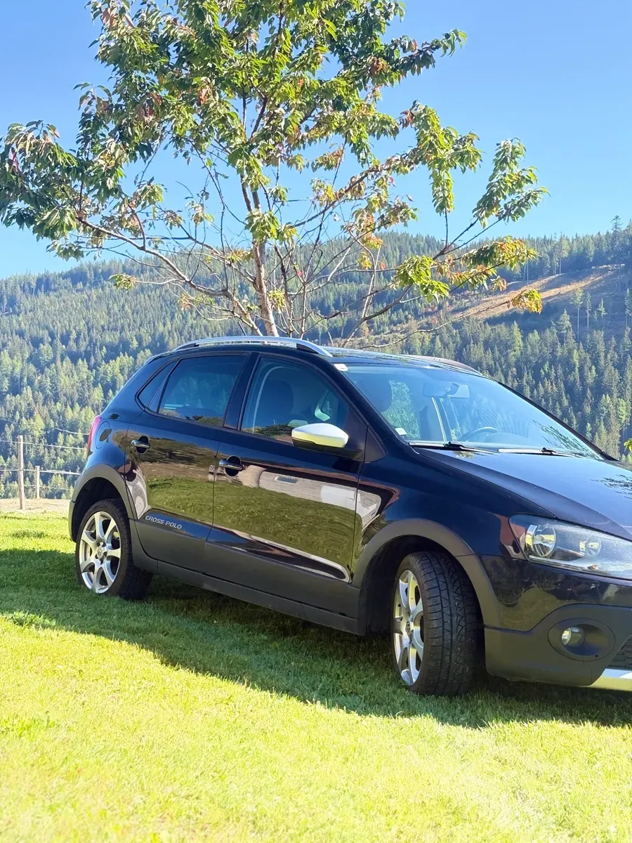 Volkswagen Polo 2011 photo 3
