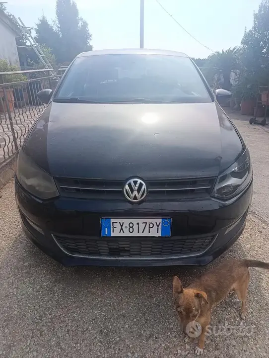 Volkswagen Polo 2011 photo 3