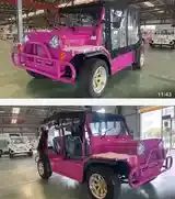 Mini Moke 2026 photo 3