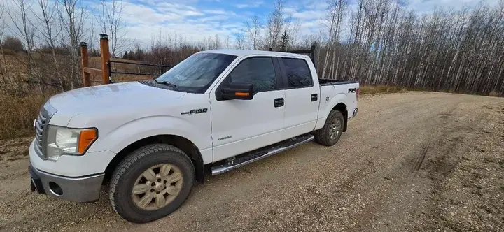 Ford F-150 2011 photo 2