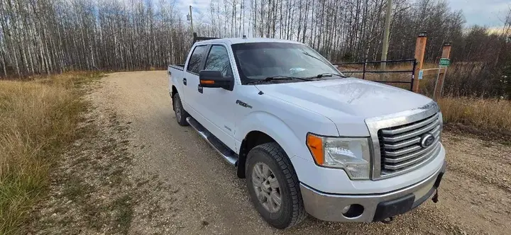 Ford F-150 2011 photo 3