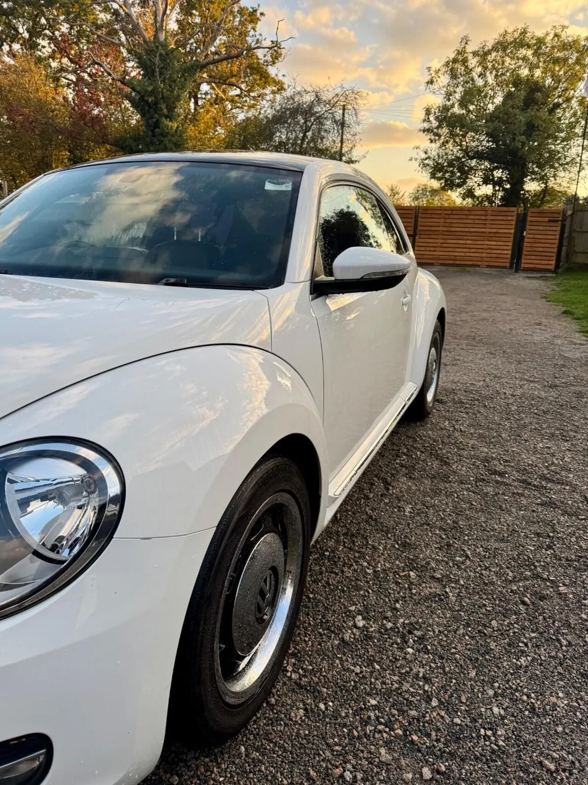Volkswagen Beetle 2016 photo 5