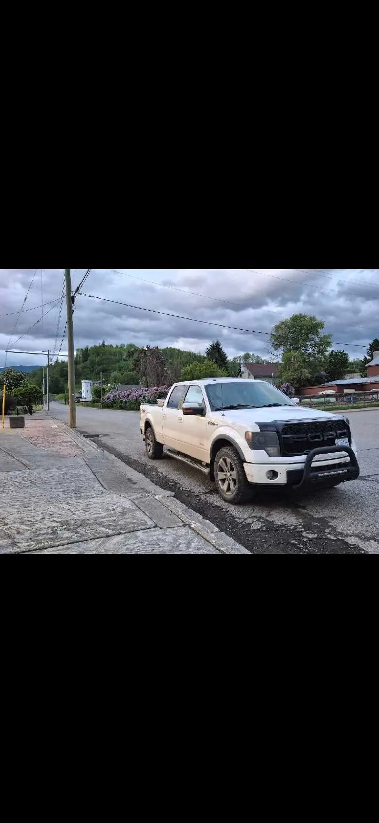 Ford F-150 2013 photo 4