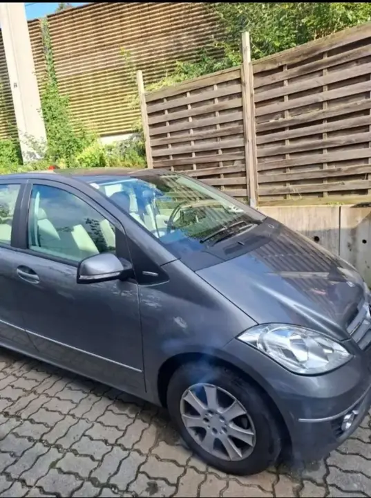 Mercedes-Benz A-Class 2009 photo 2