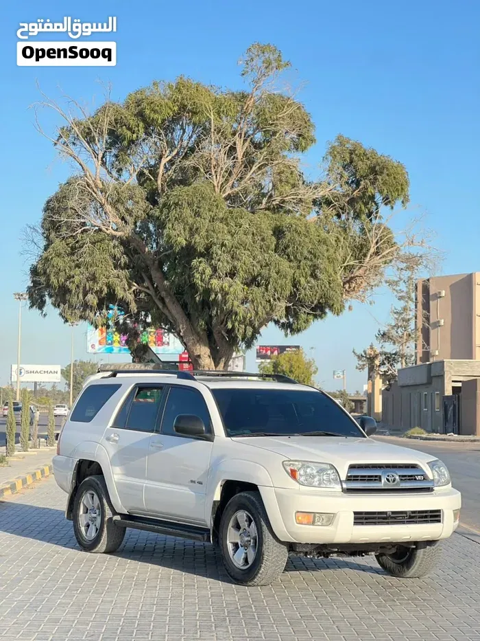 Toyota 4 Runner 2007 photo 3