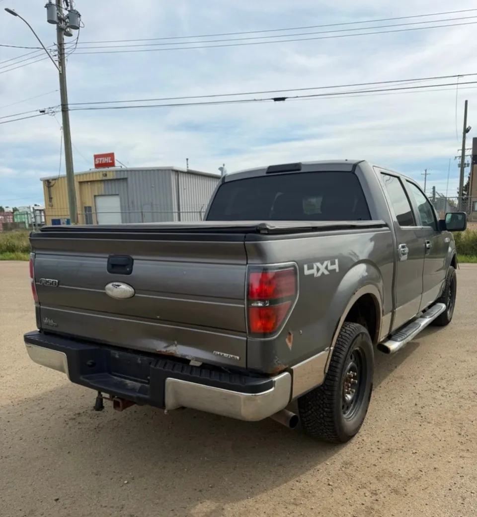 Ford F-150 2011 photo 3