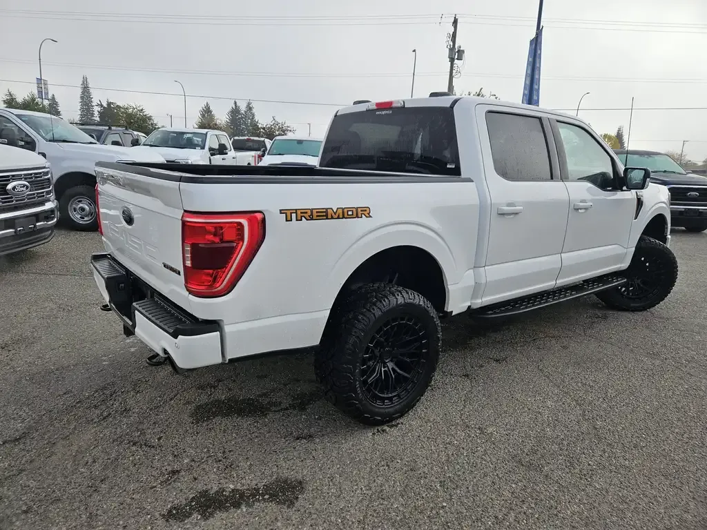 Ford F-150 2023 photo 5