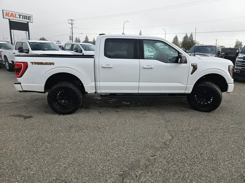 Ford F-150 2023 photo 4
