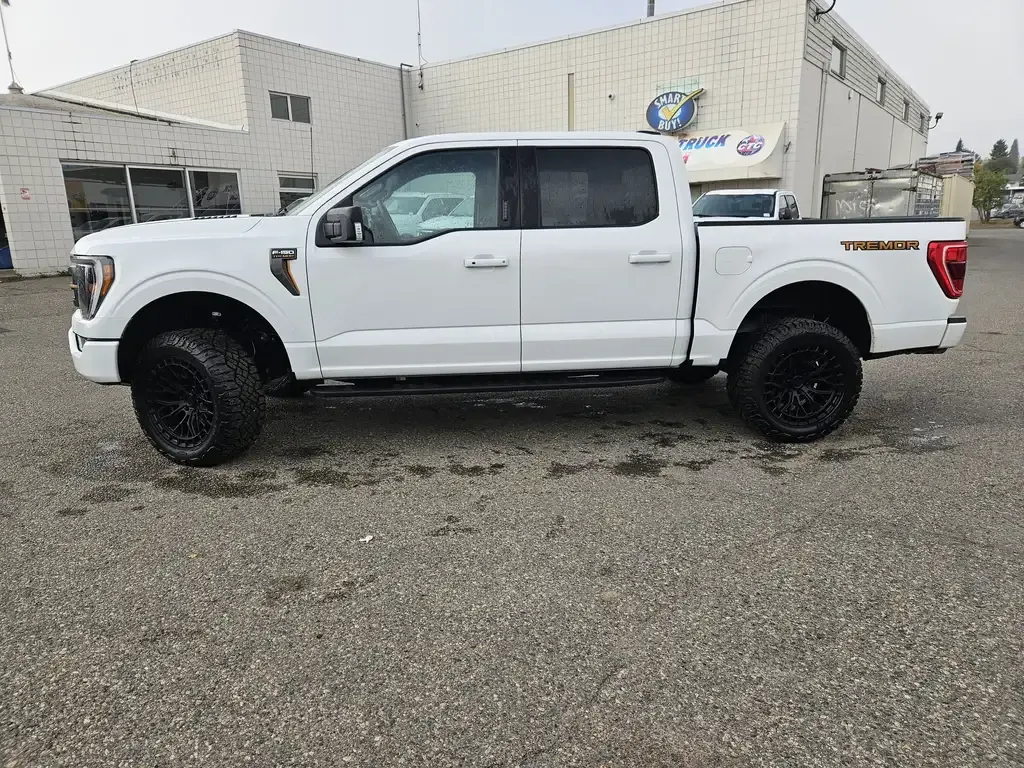 Ford F-150 2023 photo 2