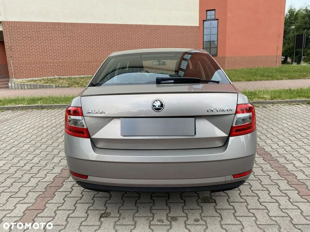 Skoda Octavia 2019 photo 3
