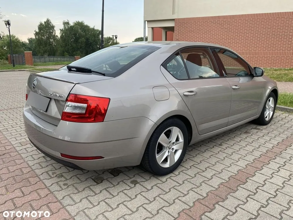 Skoda Octavia 2019 photo 2
