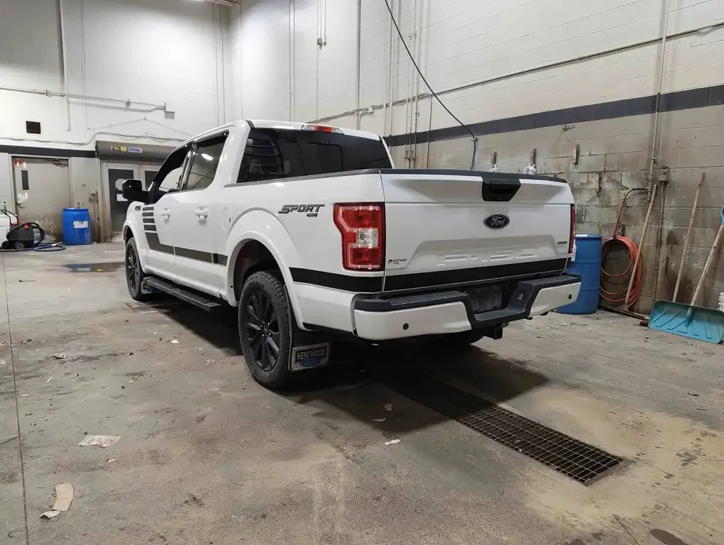 Ford F-150 2019 photo 4