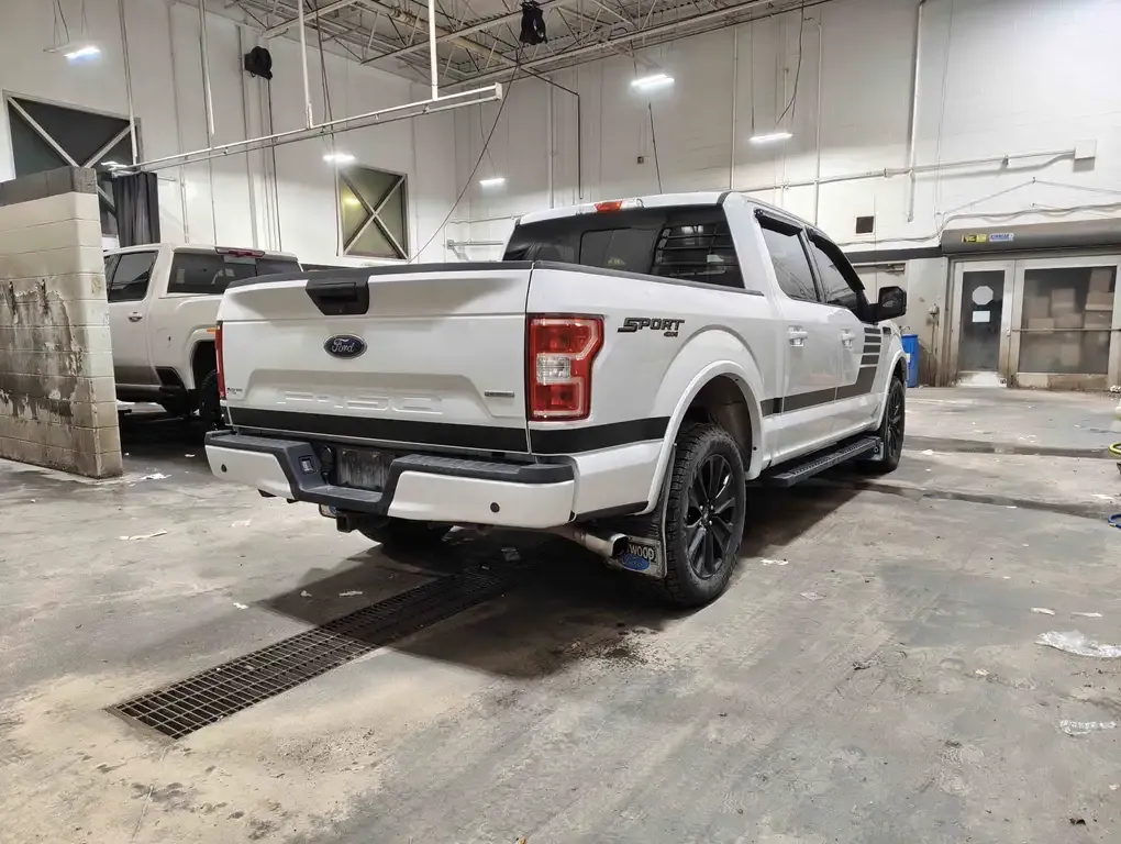 Ford F-150 2019 photo 5
