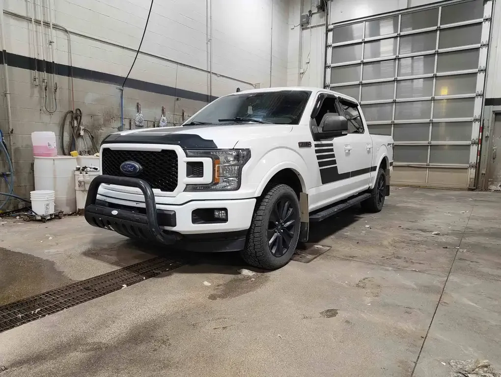 Ford F-150 2019 photo 3