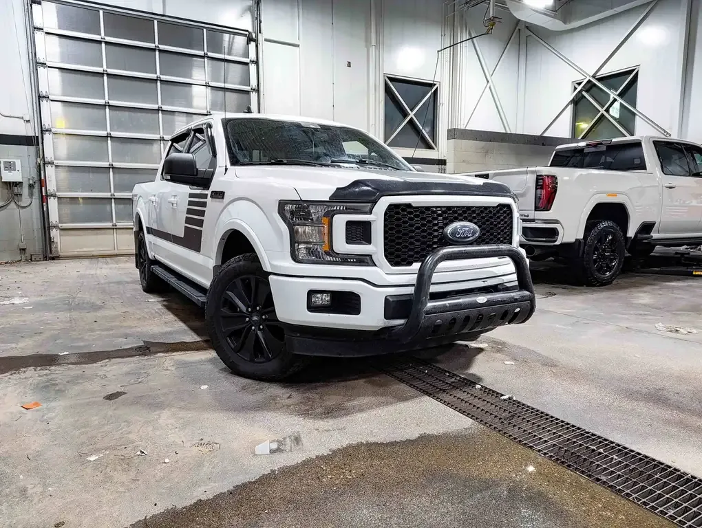 Ford F-150 2019 photo 2