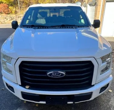 Ford F-150 2015 photo 3