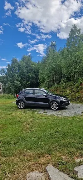 Volkswagen Polo Cross 2010 photo 3