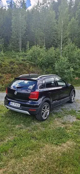 Volkswagen Polo Cross 2010 photo 4