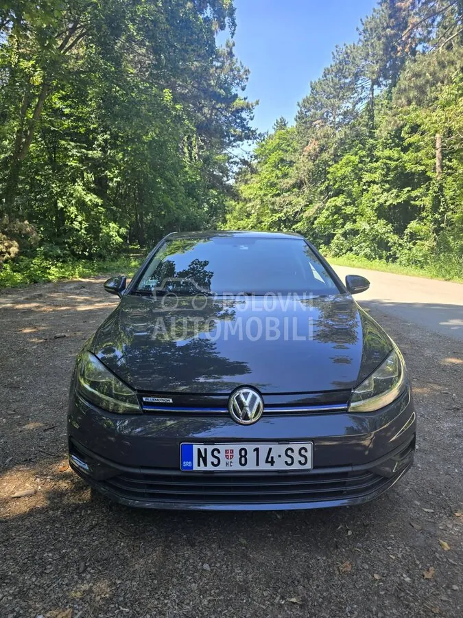 Volkswagen Golf 7 2018 photo 2