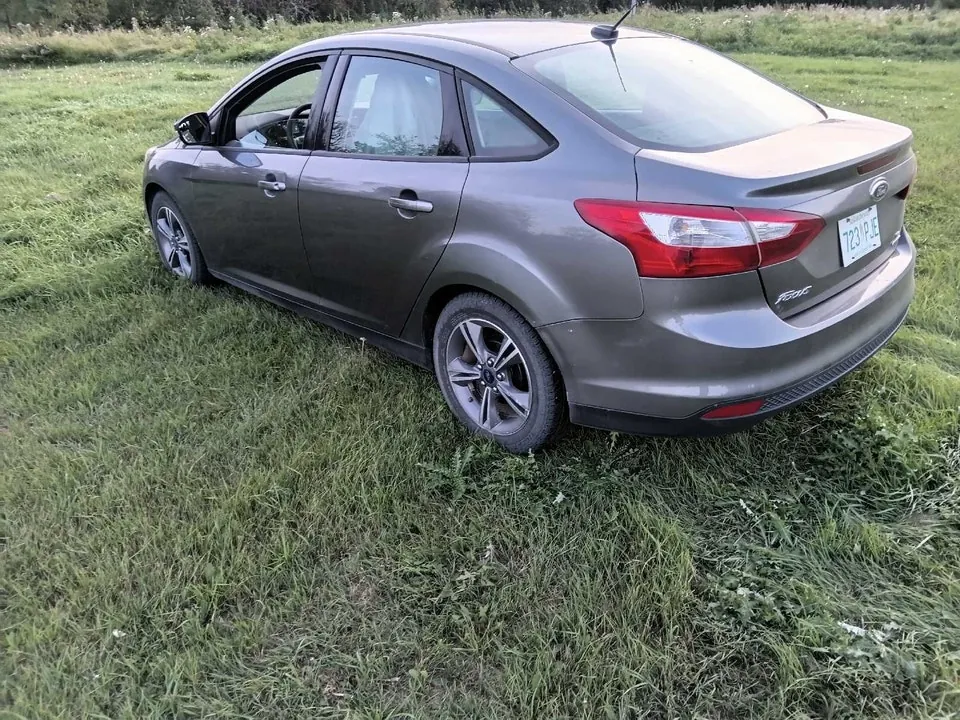 Ford Focus 2014 photo 4