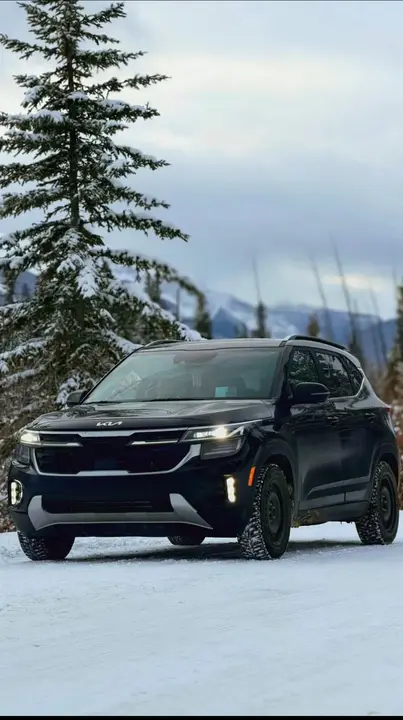 Kia Seltos 2024 photo 2